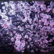 ヒメ日記 2025/03/26 20:50 投稿 まどか 完熟ばなな 上野店