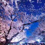 ヒメ日記 2025/03/30 22:00 投稿 まどか 完熟ばなな 上野店