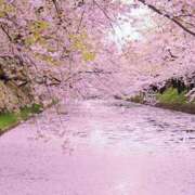 ヒメ日記 2025/04/07 23:01 投稿 まどか 完熟ばなな 上野店