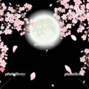 ヒメ日記 2025/04/12 20:50 投稿 まどか 完熟ばなな 上野店