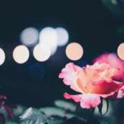 ヒメ日記 2025/05/06 20:20 投稿 まどか 完熟ばなな 上野店