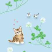 ヒメ日記 2025/05/09 09:50 投稿 まどか 完熟ばなな 上野店