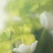 ヒメ日記 2025/05/17 20:10 投稿 まどか 完熟ばなな 上野店