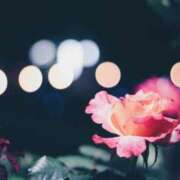 ヒメ日記 2025/05/21 16:50 投稿 まどか 完熟ばなな 上野店