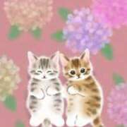 ヒメ日記 2025/05/31 19:50 投稿 まどか 完熟ばなな 上野店