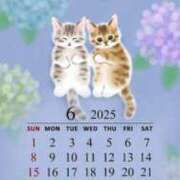 ヒメ日記 2025/06/05 14:50 投稿 まどか 完熟ばなな 上野店