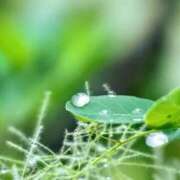 ヒメ日記 2025/06/25 20:40 投稿 まどか 完熟ばなな 上野店