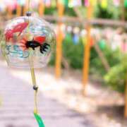 ヒメ日記 2025/07/26 07:50 投稿 まどか 完熟ばなな 上野店