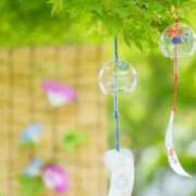 ヒメ日記 2025/08/22 17:01 投稿 まどか 完熟ばなな 上野店