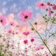 ヒメ日記 2025/10/06 10:00 投稿 まどか 完熟ばなな 上野店