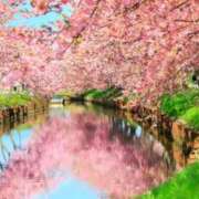 ヒメ日記 2026/03/31 21:16 投稿 まどか 完熟ばなな 上野店