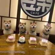 ヒメ日記 2025/01/16 08:10 投稿 ましろ 奥様特急新潟店