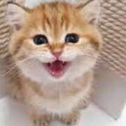 ヒメ日記 2025/01/13 21:23 投稿 ましろ 奥様特急三条店