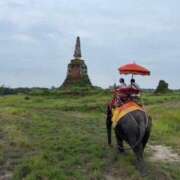 ヒメ日記 2025/01/21 22:23 投稿 ましろ 奥様特急三条店