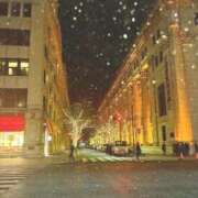 ヒメ日記 2025/05/11 00:45 投稿 大平 ゆりか RANUNCULUS(ラナンキュラス)