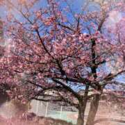 清水ちはる 見てね💕︎ おいしい人妻熟女