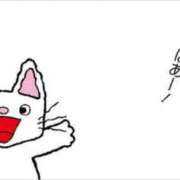 ヒメ日記 2025/06/20 10:30 投稿 ノン ファーストレディー