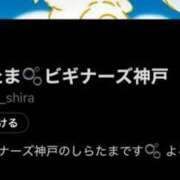 ヒメ日記 2025/01/13 12:31 投稿 しらたま ビギナーズ神戸