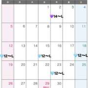 ヒメ日記 2026/03/28 10:07 投稿 しらたま ビギナーズ神戸