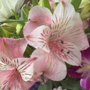 ヒメ日記 2025/09/01 09:01 投稿 伊藤　りさ 熟女パラダイス甲府店（カサブランカグループ）