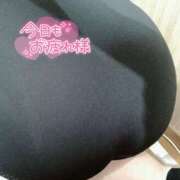 ヒメ日記 2025/01/25 00:19 投稿 ゆず 大阪和泉ちゃんこ