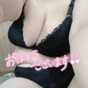 ヒメ日記 2025/01/25 11:29 投稿 ゆず 大阪和泉ちゃんこ