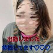 ヒメ日記 2025/01/26 11:09 投稿 ゆず 大阪和泉ちゃんこ