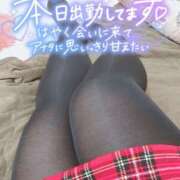 ヒメ日記 2025/02/24 11:09 投稿 ゆず 大阪和泉ちゃんこ