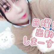 若菜-わかな【FG系列】 明日出勤でーす ほんつま千葉店（FG系列）