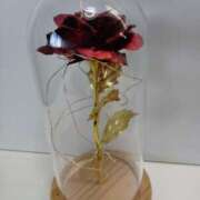 ヒメ日記 2024/12/22 14:58 投稿 木下ひかり 五十路マダム 浜松店(カサブランカグループ)