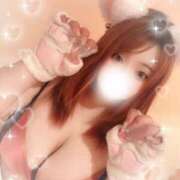 ヒメ日記 2025/01/31 07:02 投稿 みはと 香川サンキュー