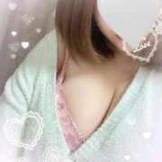 ヒメ日記 2025/04/11 06:32 投稿 みはと 香川サンキュー