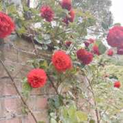 ヒメ日記 2025/05/31 20:05 投稿 有壁あめり THE痴漢電車.com