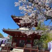 ヒメ日記 2025/06/14 15:03 投稿 有壁あめり THE痴漢電車.com