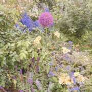 ヒメ日記 2025/06/20 22:53 投稿 有壁あめり THE痴漢電車.com