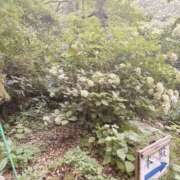 ヒメ日記 2025/08/16 10:13 投稿 有壁あめり THE痴漢電車.com