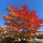 ヒメ日記 2025/05/27 11:43 投稿 愛琉あめり 全裸美女からのカゲキな誘惑