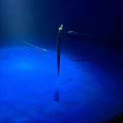 ヒメ日記 2025/06/02 14:35 投稿 愛琉あめり 全裸美女からのカゲキな誘惑