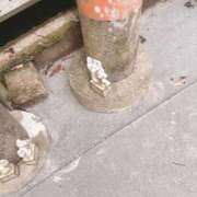 ヒメ日記 2025/07/21 10:03 投稿 愛琉あめり 全裸美女からのカゲキな誘惑