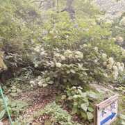 ヒメ日記 2025/08/16 10:02 投稿 愛琉あめり 全裸美女からのカゲキな誘惑