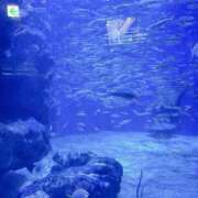 ヒメ日記 2025/09/30 00:05 投稿 愛琉あめり 全裸美女からのカゲキな誘惑