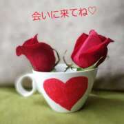 ヒメ日記 2025/03/09 09:31 投稿 さわこ 札幌淫ら妻