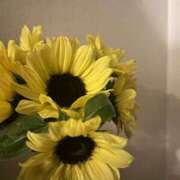 あすみ お待たせしました、！！ リニューアル