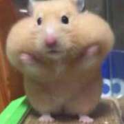 ヒメ日記 2026/04/01 11:01 投稿 あすみ リニューアル