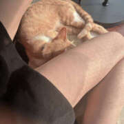 ヒメ日記 2025/05/16 16:33 投稿 なお 那須塩原人妻花壇