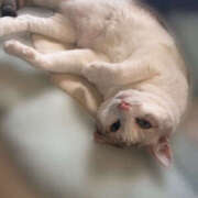 なお 急遽ですみません‪‪💦‬ 那須塩原人妻花壇