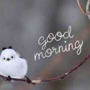 ヒメ日記 2025/02/18 12:15 投稿 ゆきの 札幌淫ら妻