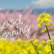 ヒメ日記 2025/02/27 12:21 投稿 ゆきの 札幌淫ら妻