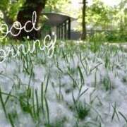 ヒメ日記 2025/06/12 14:24 投稿 ゆきの 札幌淫ら妻