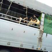 ヒメ日記 2024/12/23 15:53 投稿 しいな 千葉人妻花壇